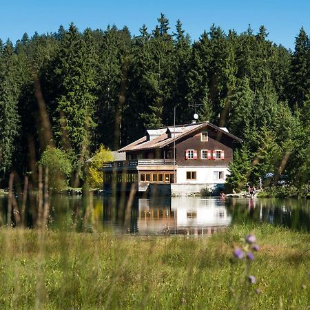 Haus Schreieck Klaudia Apartamento Höfen Exterior foto